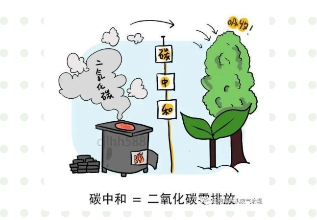 “碳中和、碳達峰”構(gòu)建綠色、低碳、循環(huán)的可持續(xù)發(fā)展經(jīng)濟體系