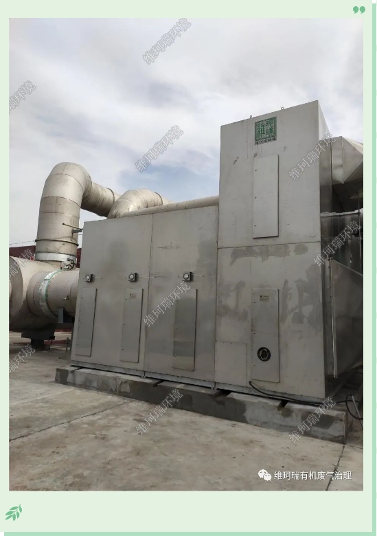 “碳中和、碳達峰”構(gòu)建綠色、低碳、循環(huán)的可持續(xù)發(fā)展經(jīng)濟體系